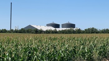 Majsmark med biogasanlæg i baggrunden
